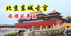 欧美屌肛交中国北京-东城古宫旅游风景区
